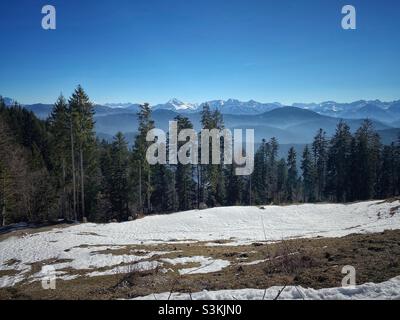 Bergblick mit Kiefern, Almwiese und schmelzendem Schnee auf Brauneck, Deutschland. Stockfoto