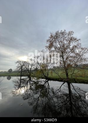 Atmosphärische Fotografie von blattlosen Bäumen, die sich perfekt im Kanal von Leeds Liverpool unter einem grauen Himmel widerspiegeln Stockfoto