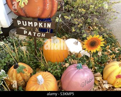 Das Herbstdekor sitzt inmitten lebender Pflanzen und schafft einen „Kürbispflaster“ in einer Gartenecke des Vorhofs eines Hauses in Utah, USA. Stockfoto