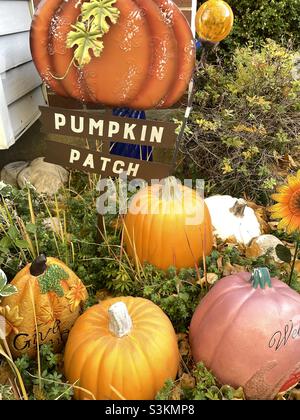 Das Herbstdekor sitzt inmitten lebender Pflanzen und schafft einen „Kürbispflaster“ in einer Gartenecke des Vorhofs eines Hauses in Utah, USA. Stockfoto