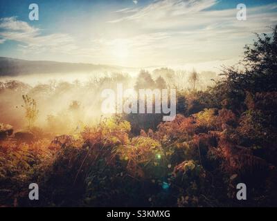 Ein Foto mit Blick auf Bäume und ein nebeliges Tal bei Sonnenaufgang, mit Sonnenstrahlen durch den Nebel Stockfoto