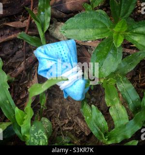 Ausrangierte Gesichtsmaske, Discovery Bay, Lantau Island, Hongkong, Juni 2020 Stockfoto