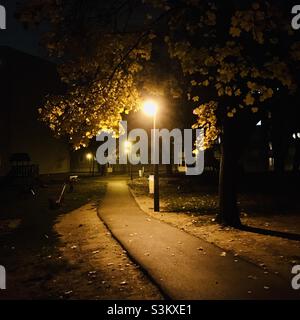 Straßenlampen beleuchten Fußwege und gelbe Baumblätter im Herbst Stockfoto