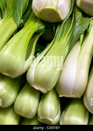 Bok Choy Stockfoto