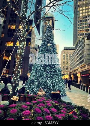 Landschaftsgestaltung und ein hell erleuchteter Weihnachtsbaum auf der Vanderbilt Ave. plaza gegenüber dem Grand Central Terminal, 2021, New York City, USA Stockfoto