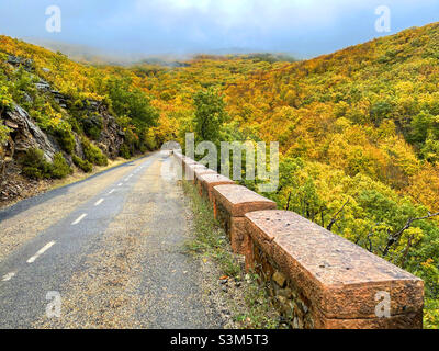 Herbstlandschaft. Sierra de Ayllon, Castilla Leon, Spanien. Stockfoto