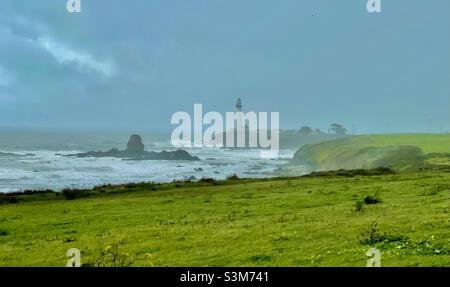 Pigeon Point Leuchtturm im Nebel Stockfoto