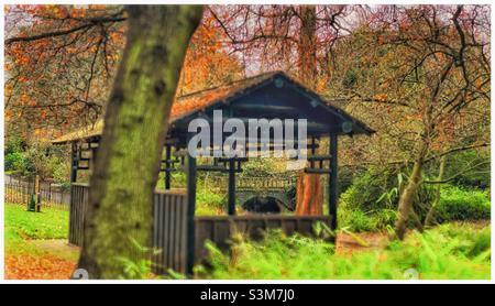Der Japanische Garten im Peckham Rye Park. Stockfoto