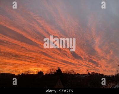 Orangefarbener Himmel bei Sonnenaufgang über der Silhouette der Skyline von Häusern und Bäumen Stockfoto