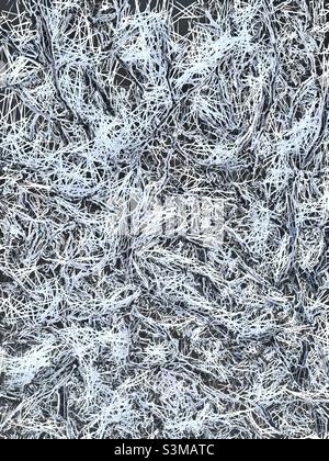 Eine schneebedeckte Heuschrecke in einem Vorgarten in Utah, USA, wurde mithilfe der IOS-App Glaze digital verändert und erzeugt so eine sehr detaillierte, linierte Umrandung der verschneiten Äste. Stockfoto