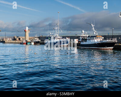 Trawler in Dunmore East Harbour, South East Ireland. Stockfoto