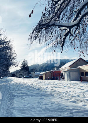 Seltenes Schneeereignis in Issaquah, WA Stockfoto