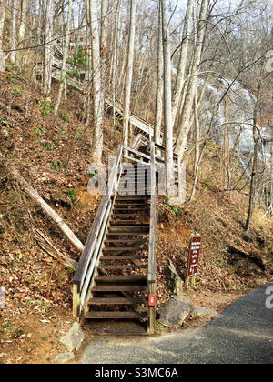 Holzwanderweg zum Appalachian Trail Approach in North Georgia bei den Amicalola Falls. Die Wasserfälle sind im Hintergrund. Stockfoto