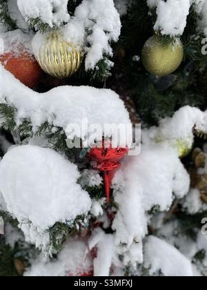 Frischer Schnee auf einem Weihnachtsbaum. Stockfoto