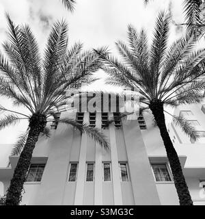 Dezember 2021, Kimpton Surfcomber Hotel, South Beach, Miami, Florida, Usa, Nordamerika Stockfoto