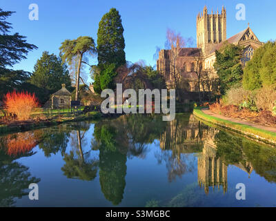 Wells Cathedral aus den Gärten des Bishop’s Palace, Wells, Somerset Stockfoto