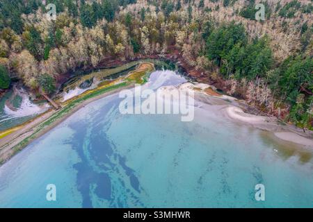Tolmie State Park am Wasser im Dezember Stockfoto