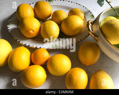 Schöne Anordnung von hausgemachten Zitronen in Fensterlicht Stockfoto