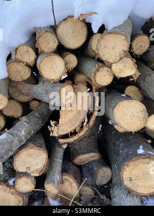 Ein Holzstapel mit einer Schneeschicht auf der Oberseite. Stockfoto