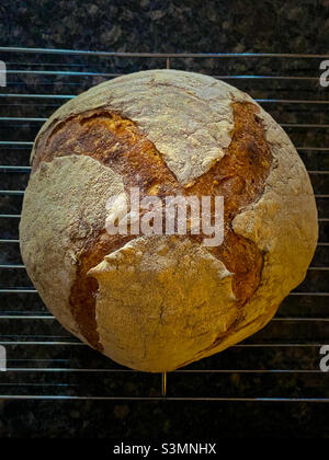 Frisch gebackenes Sauerteigbrot Stockfoto