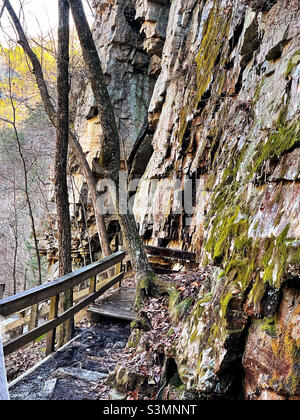 Sandstein-, Kalkstein- und Schiefergestein an der Seite eines Berges im Cloudland Canyon State Park. Stockfoto