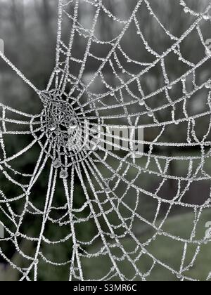 Ein Spinnennetz, das an einem nebligen Morgen aus der Nähe mit Wassertröpfchen geschmückt war Stockfoto
