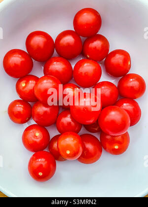 Rote Tomaten auf weißem Teller Stockfoto