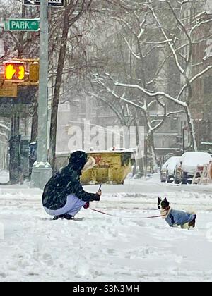 Jemand, der während eines Schneesturms mitten in der Park Avenue NYC ein Foto von seinem Hund gemacht hat. Stockfoto