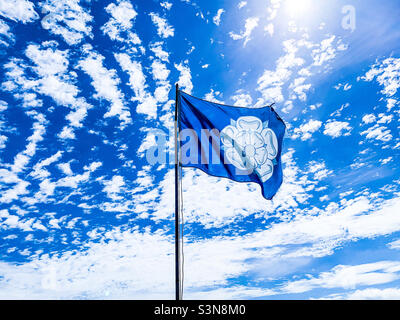 Weiße Rose der Yorkshire-Flagge, die im Sommer in einem blauen Yorkshire-Himmel fliegt Stockfoto