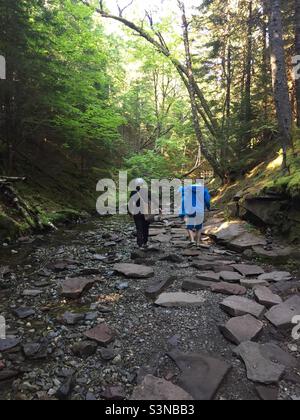 Wandern auf einem Flussbett auf dem Dickson Falls Trail im Fundy National Park, New Brunswick. Stockfoto