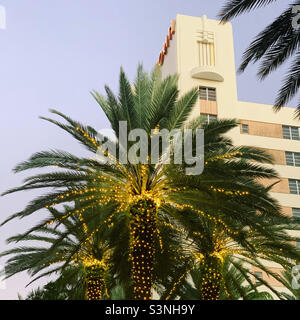 Januar 2022, Palmen vor dem Loews Miami Beach Hotel, South Beach, Miami Beach, Florida, USA, Nordamerika Stockfoto