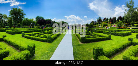 Werfen Sie einen tiefen Blick auf die Natur. Und dann wirst du alles besser verstehen. Stockfoto