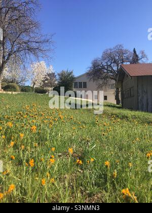 Cesar E. Chavez National Monument Keene California Stockfoto