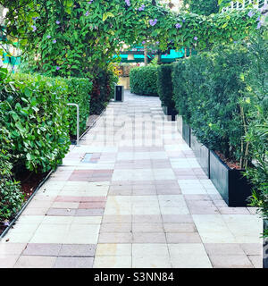 Januar 2022, Walkway, Kimpton Surfcomber Hotel, South Beach, Miami Beach, Florida, Usa, Nordamerika Stockfoto