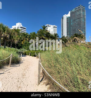 Januar 2022, Weg vom Strand zu Hotels, South Beach, Miami Beach, Florida, USA, Nordamerika Stockfoto