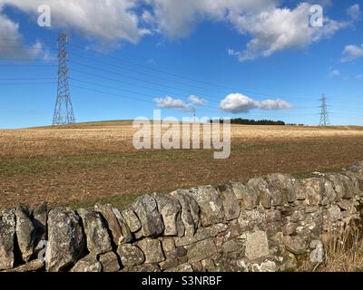 Strommasten in einem gepflügten Feld an einem sonnigen Tag Stockfoto