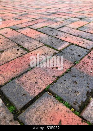 Pflasterdecke Stockfoto
