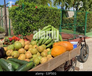 Bio-Obst und Gemüse werden auf einer Straße in Havanna, Kuba, verkauft Stockfoto