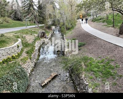 Ein Paar kann auf dem Pfad rechts gesehen werden, der seinen Hund neben einem Bach führt, der an einem schönen Frühlingstag durch den Memory Grove Memorial Park in Salt Lake City, Utah, USA, führt. Stockfoto