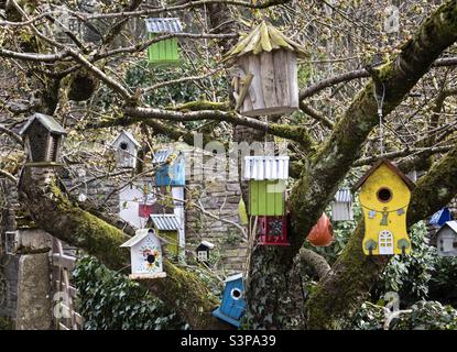In einem Baum hängende Vogelkisten Stockfoto