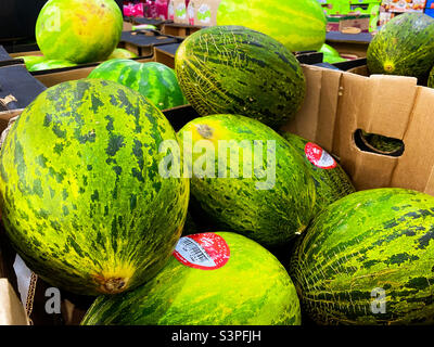 Nahaufnahme von Wassermelonenfrüchten in einem Geschäft. Stockfoto