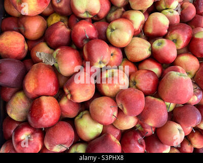 Hintergrund von reifen roten Äpfeln. Textur von Äpfeln. Rote Äpfel aus der Nähe Stockfoto