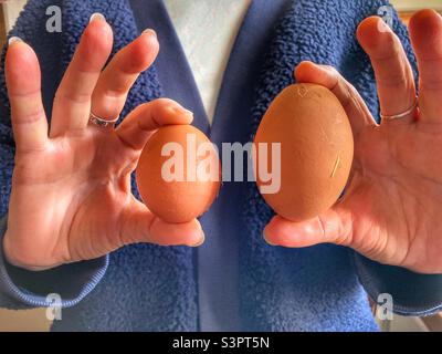 Frau hält zwei frische Bio-Hühnereier, eines klein, eines sehr groß. Das große ist wahrscheinlich ein doppeltes Eigelb Stockfoto