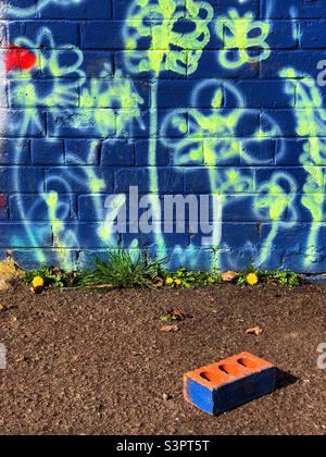 Mit Graffiti bedecktes Nebengebäude und blauer Ziegel Stockfoto