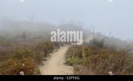 Backbone Trail, Wanderweg führt in den Nebel, am frühen Morgen in den Santa Monica Mountains, Südkalifornien Stockfoto