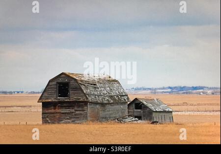 Scheune, historisch, alt, müde, koralle, Rinder, Ranch, Bauernhof, Landwirtschaft Stockfoto