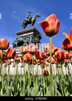 Denkmal für den Zaren Befreier Alexander II. Und rote Tulpen bei der Nationalversammlung in Sofia, Bulgarien, Osteuropa, Balkan Stockfoto