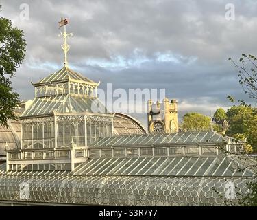 Horniman Museum Wintergarten und Uhrenturm in der Abenddämmerung, Forest Hill, London Stockfoto