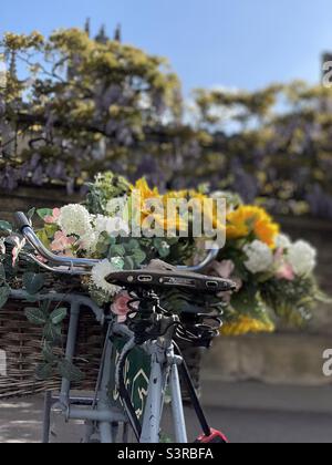 Floral Bike Display Cambridge UK wunderschön Stockfoto