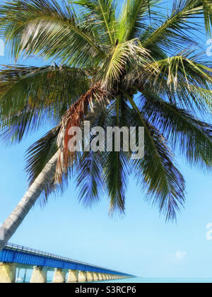 Seven Mile Bridge, Florida Stockfoto